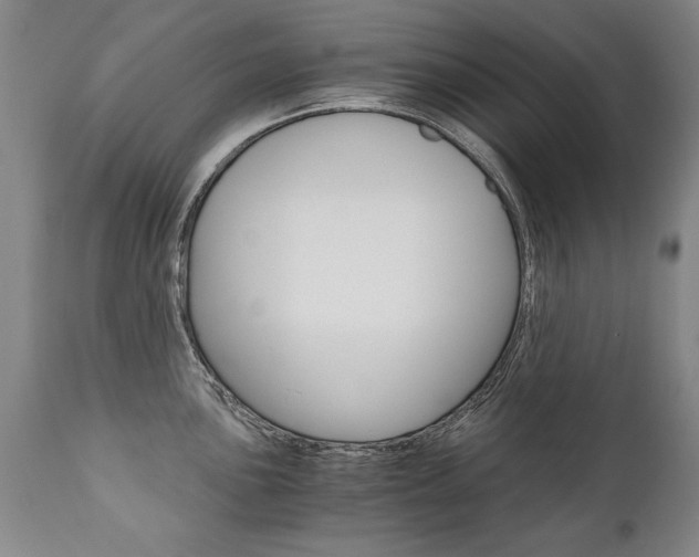 X0000110871051200906181005