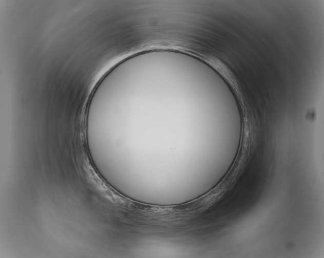 X0000110871052200906181005