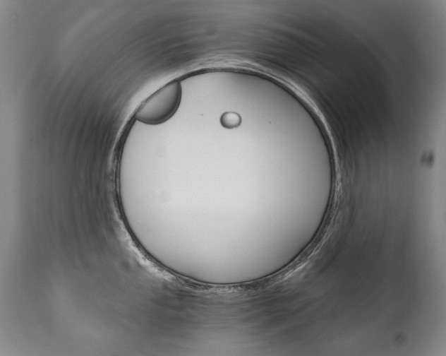 X0000110871053200906181005