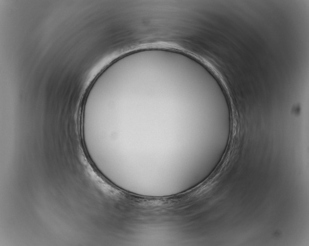 X0000110871054200906181005
