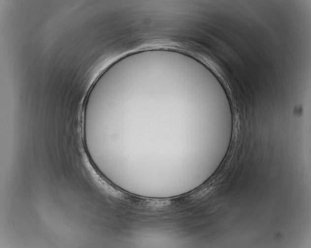 X0000110871055200906181005