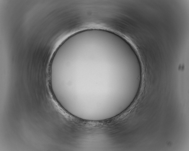 X0000110871056200906181005