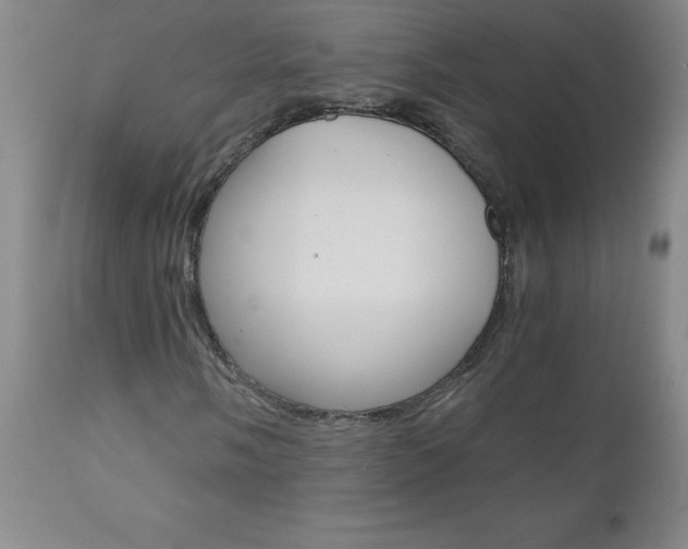 X0000110871058200906181004