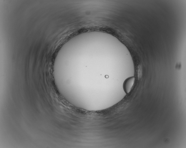 X0000110871059200906181004