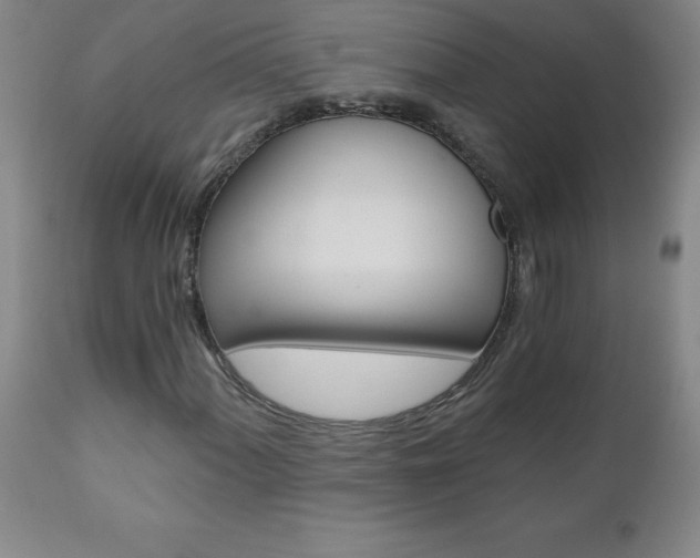 X0000110871060200906181004