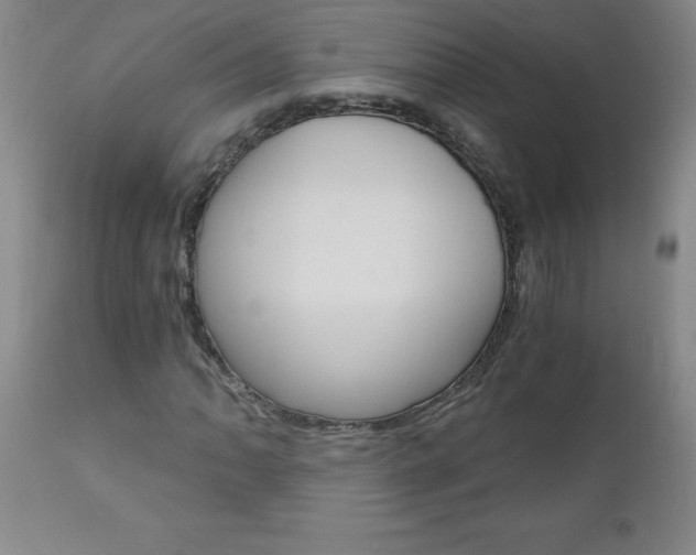 X0000110871062200906181004