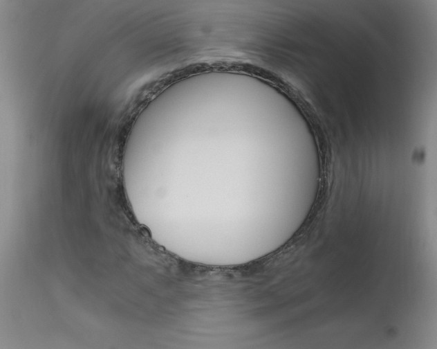 X0000110871063200906181004