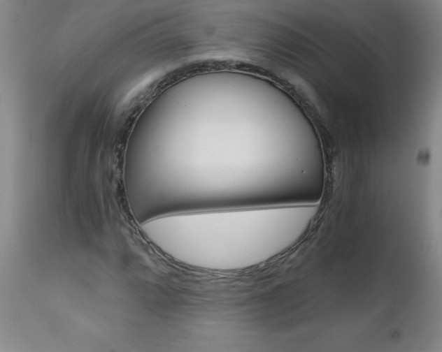 X0000110871064200906181004