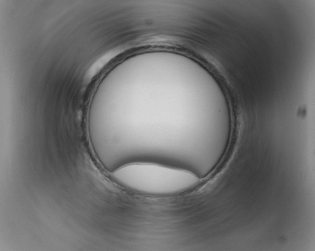 X0000110871066200906181004