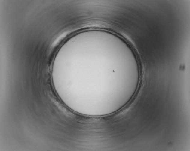 X0000110871067200906181004
