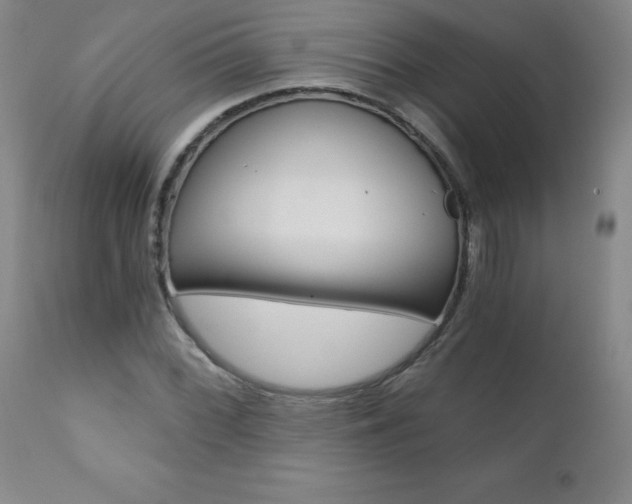 X0000110871068200906181004