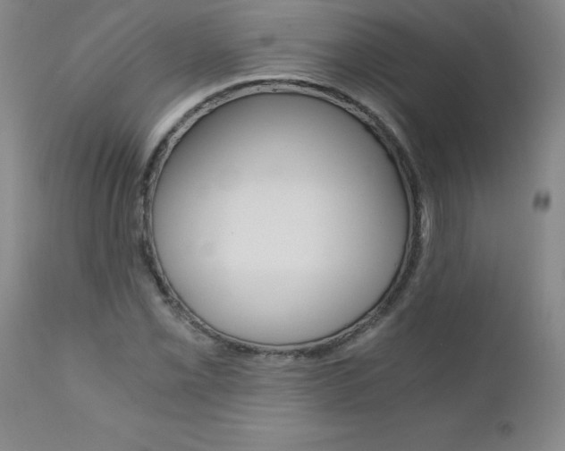 X0000110871069200906181004