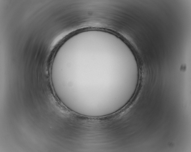 X0000110871070200906181004