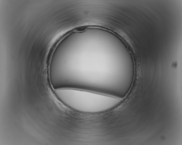 X0000110871072200906181004
