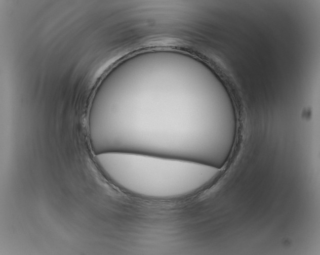X0000110871073200906181004
