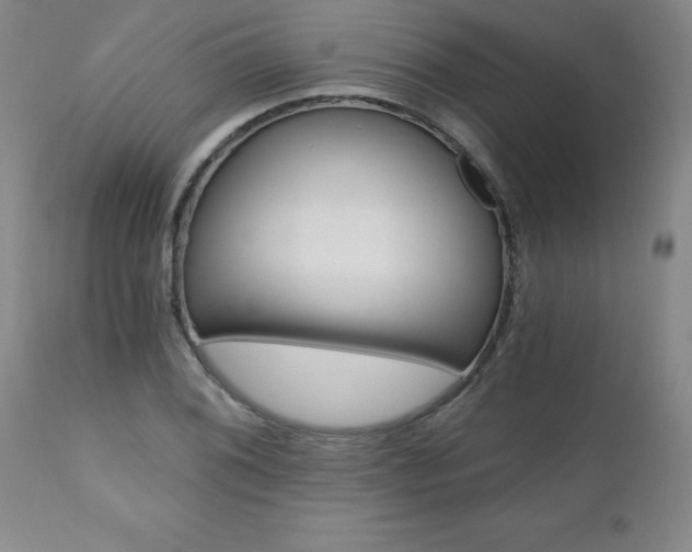 X0000110871076200906181004