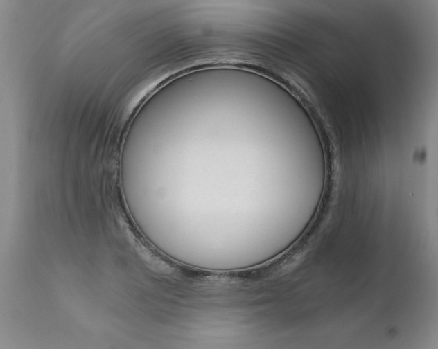 X0000110871081200906181004