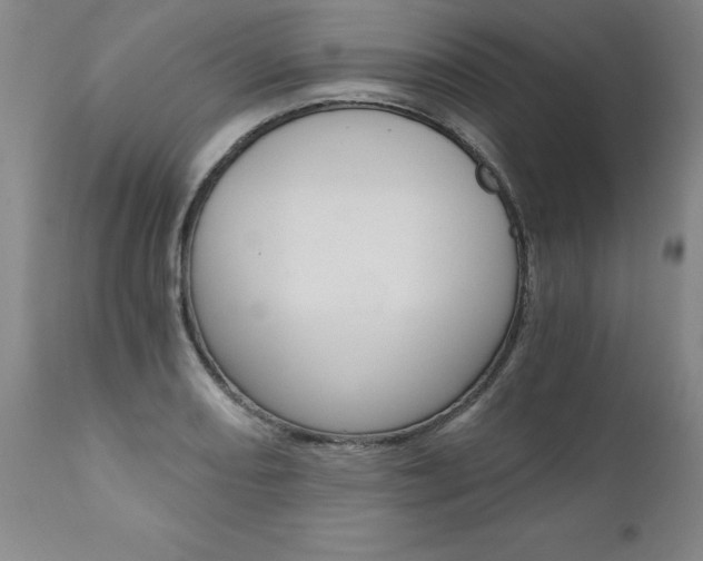 X0000110871082200906181004