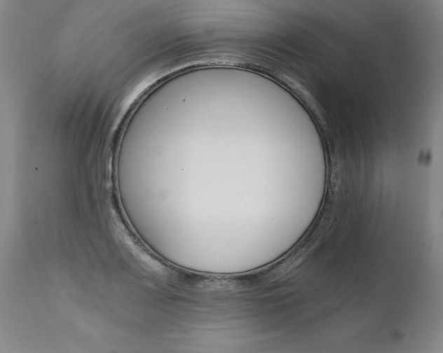 X0000110871083200906181004