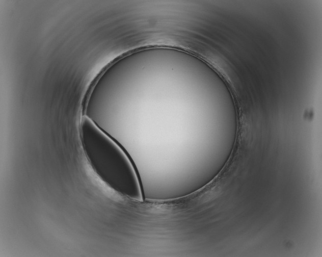 X0000110871084200906181004