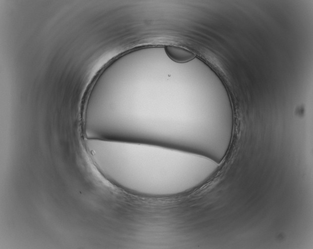 X0000110871087200906181003