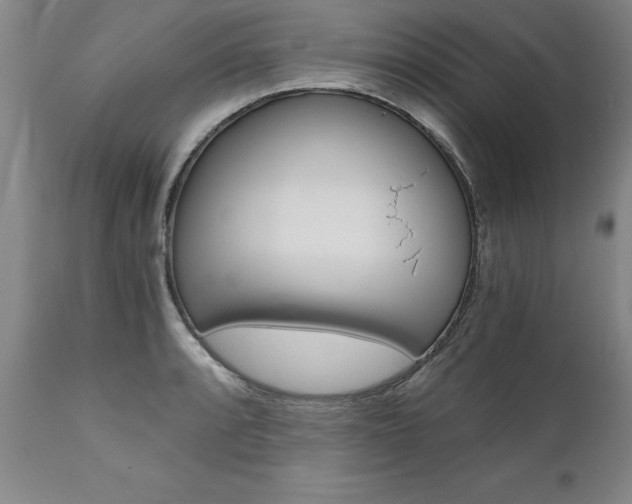 X0000110871088200906181003