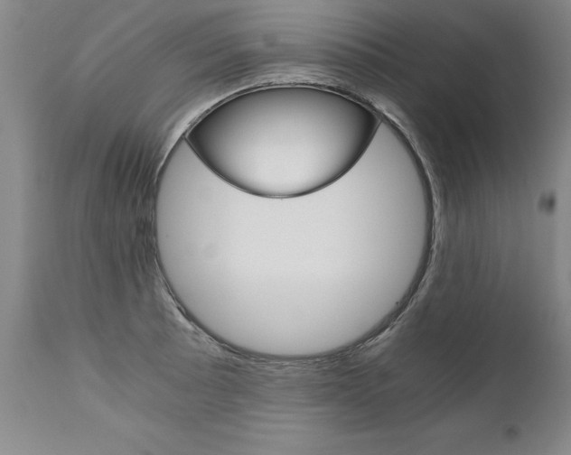 X0000110871089200906181003