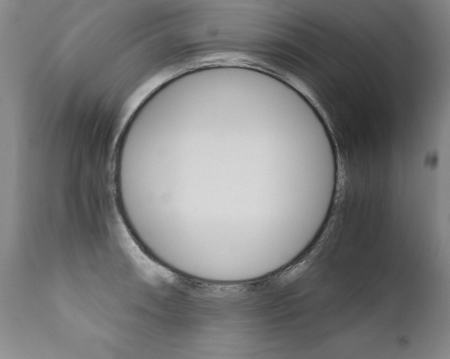 X0000110871090200906181003