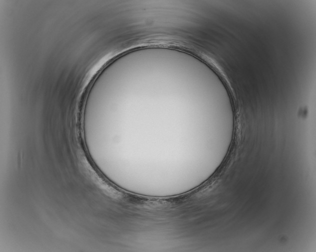 X0000110871091200906181003