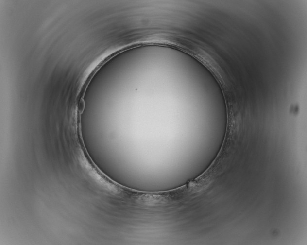 X0000110871092200906181003