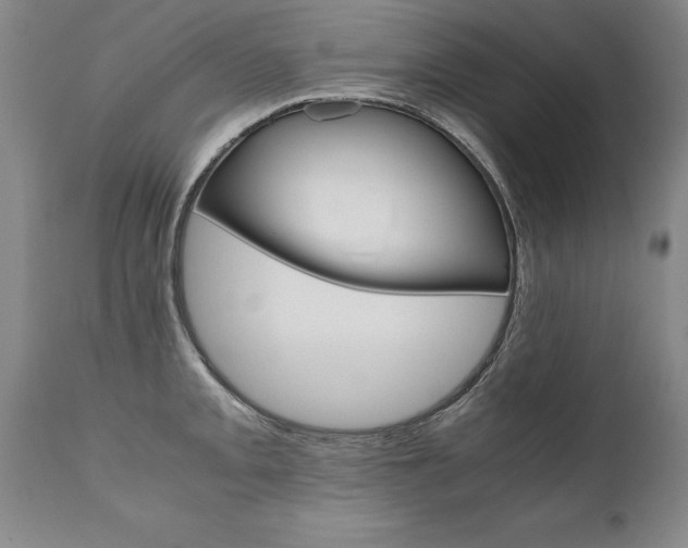 X0000110871093200906181003