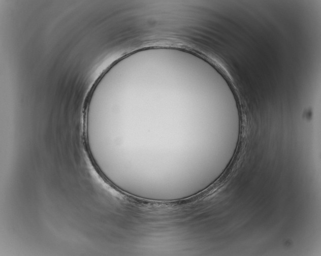 X0000110871095200906181003