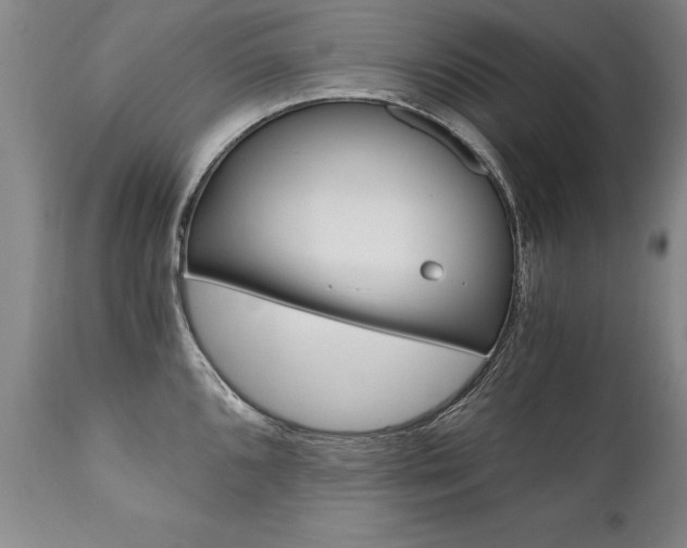 X0000110871096200906181003