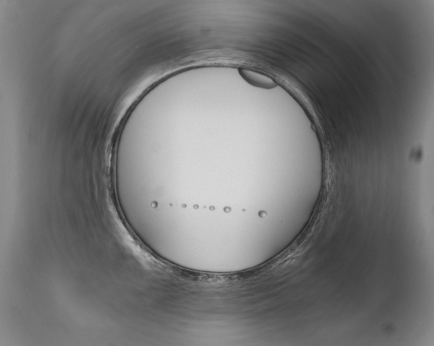 X0000110871099200906181003