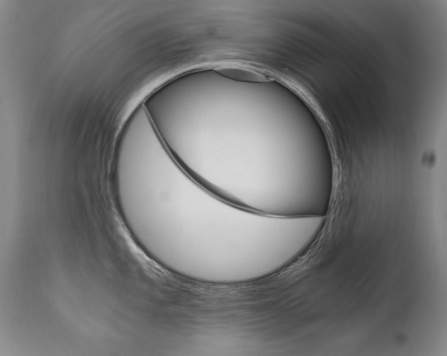 X0000110871101200906181003