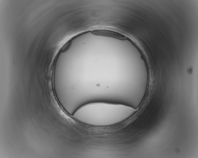 X0000110871102200906181003