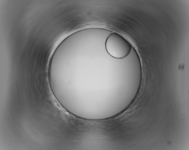 X0000110871104200906181003