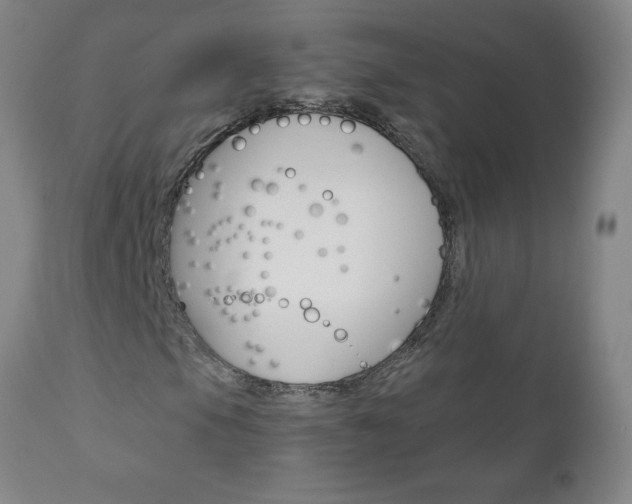 X0000110871105200906181003