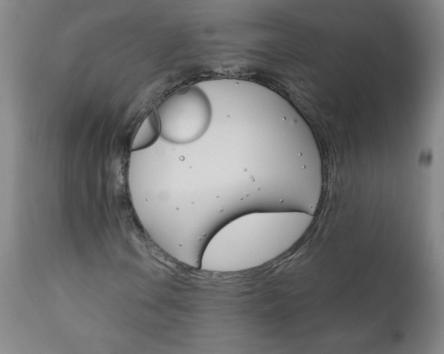 X0000110871106200906181003