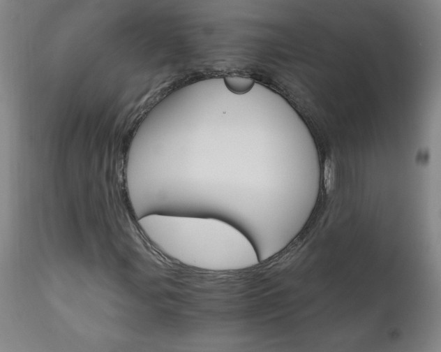 X0000110871107200906181003