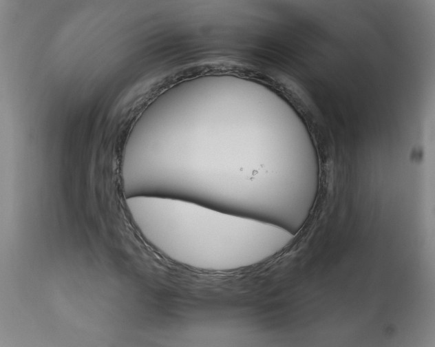 X0000110871111200906181003