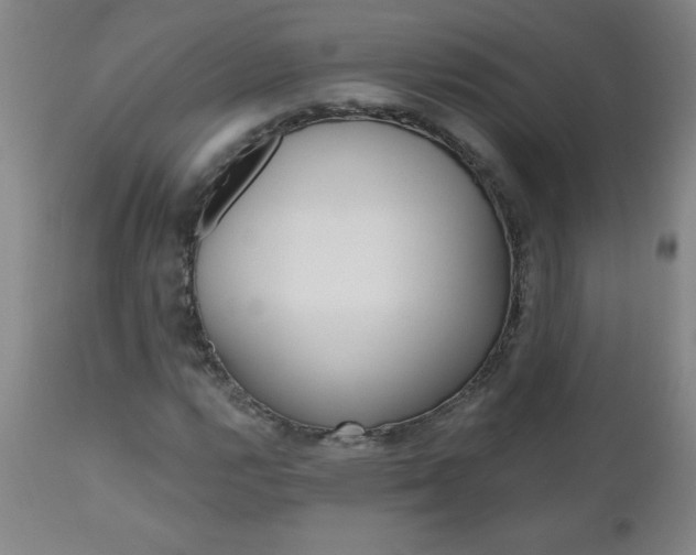 X0000110871112200906181003