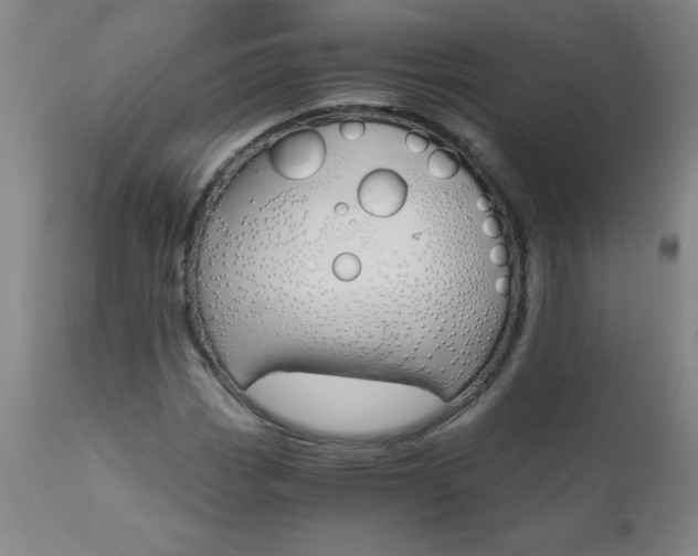 X0000110871113200906181003