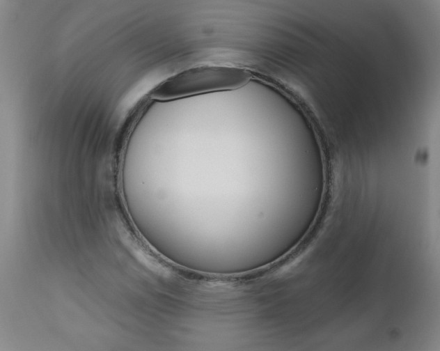 X0000110871114200906181003