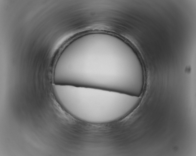X0000110871115200906181003