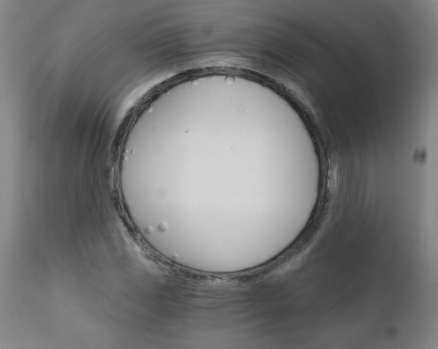 X0000110871117200906181003