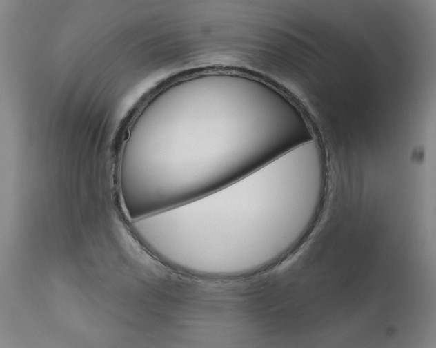 X0000110871118200906181003