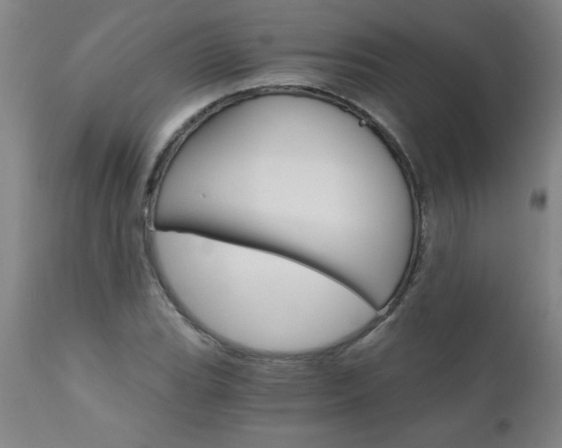 X0000110871119200906181003