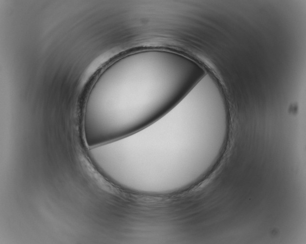 X0000110871122200906181003
