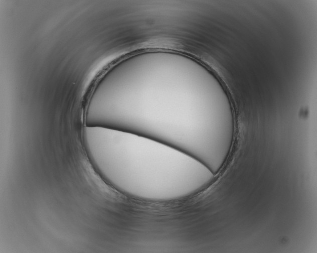 X0000110871123200906181003